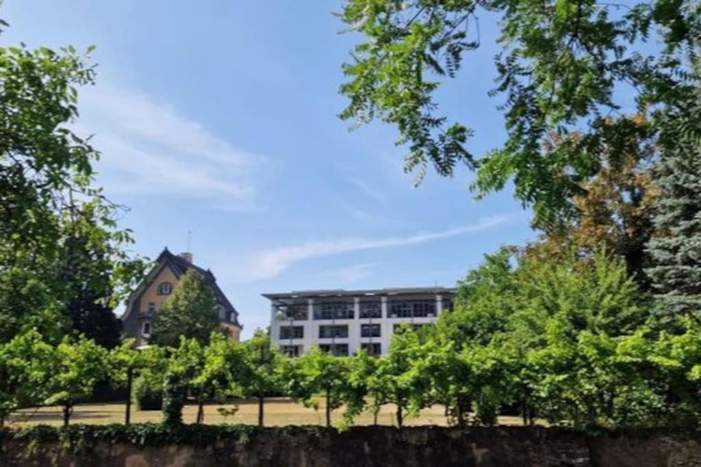 Wohnwerk: Penthouse - Moselblick Apartment Traben-Trarbach Exterior foto